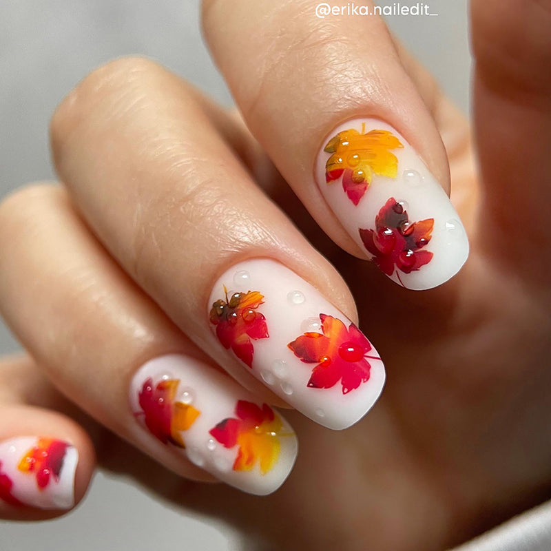 Stamping unghie con piastre, timbro e smalti professionali