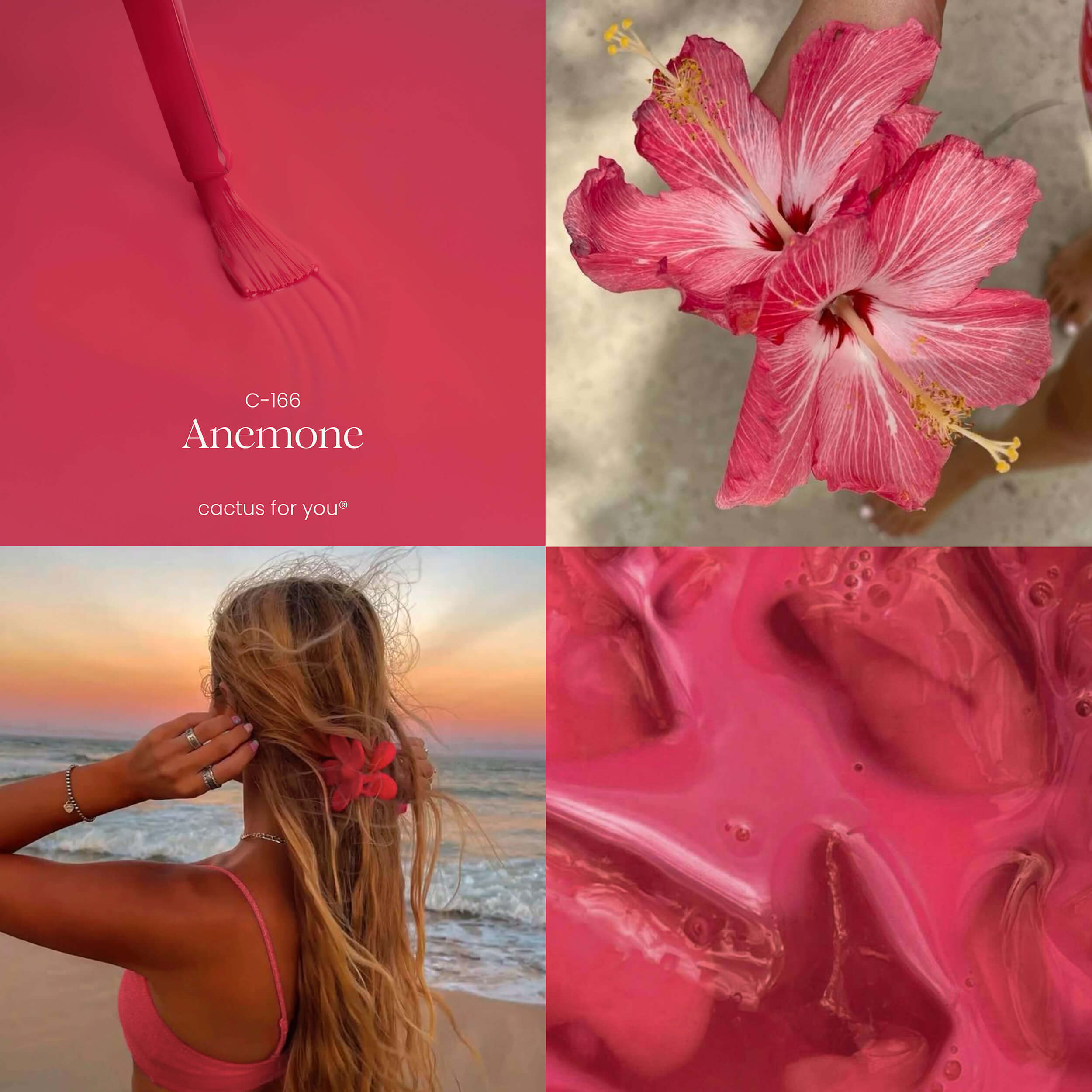 Moodboard Anemone: ispirazioni fuchsia vibrante, natura tropicale e dettagli marini.