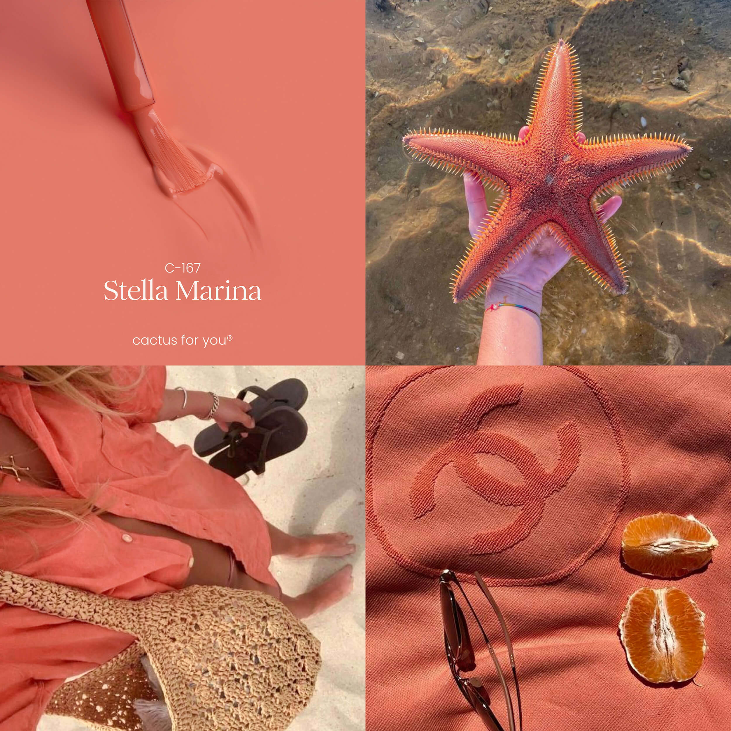 Moodboard Stella Marina: ispirazioni corallo, estate tropicale e stile da spiaggia.