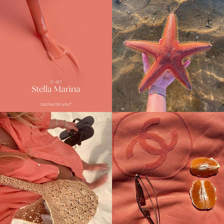 Moodboard Stella Marina: ispirazioni corallo, estate tropicale e stile da spiaggia.