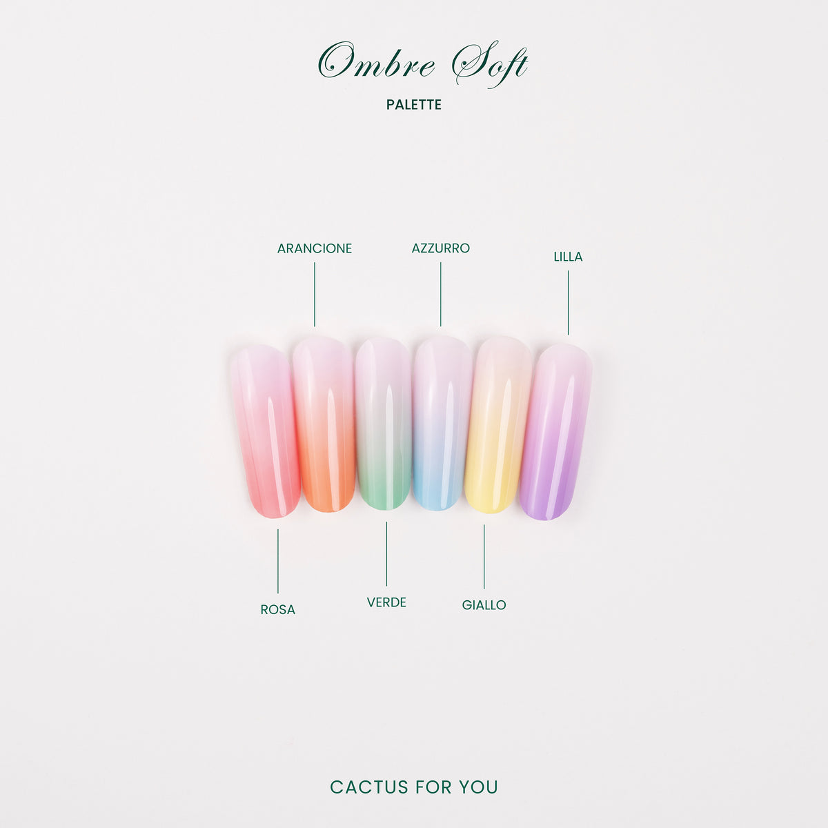PALETTE OMBRÉ