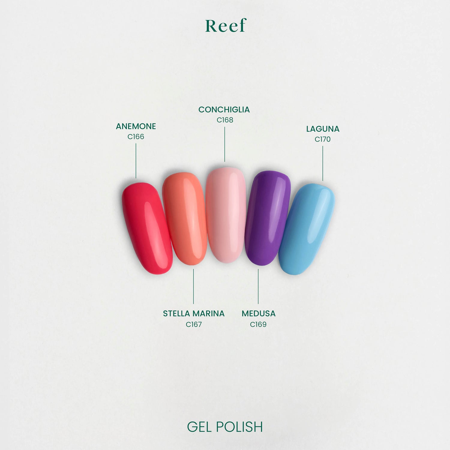 Collezione Reef: confronto tips dei 5 colori ispirati alla barriera corallina.