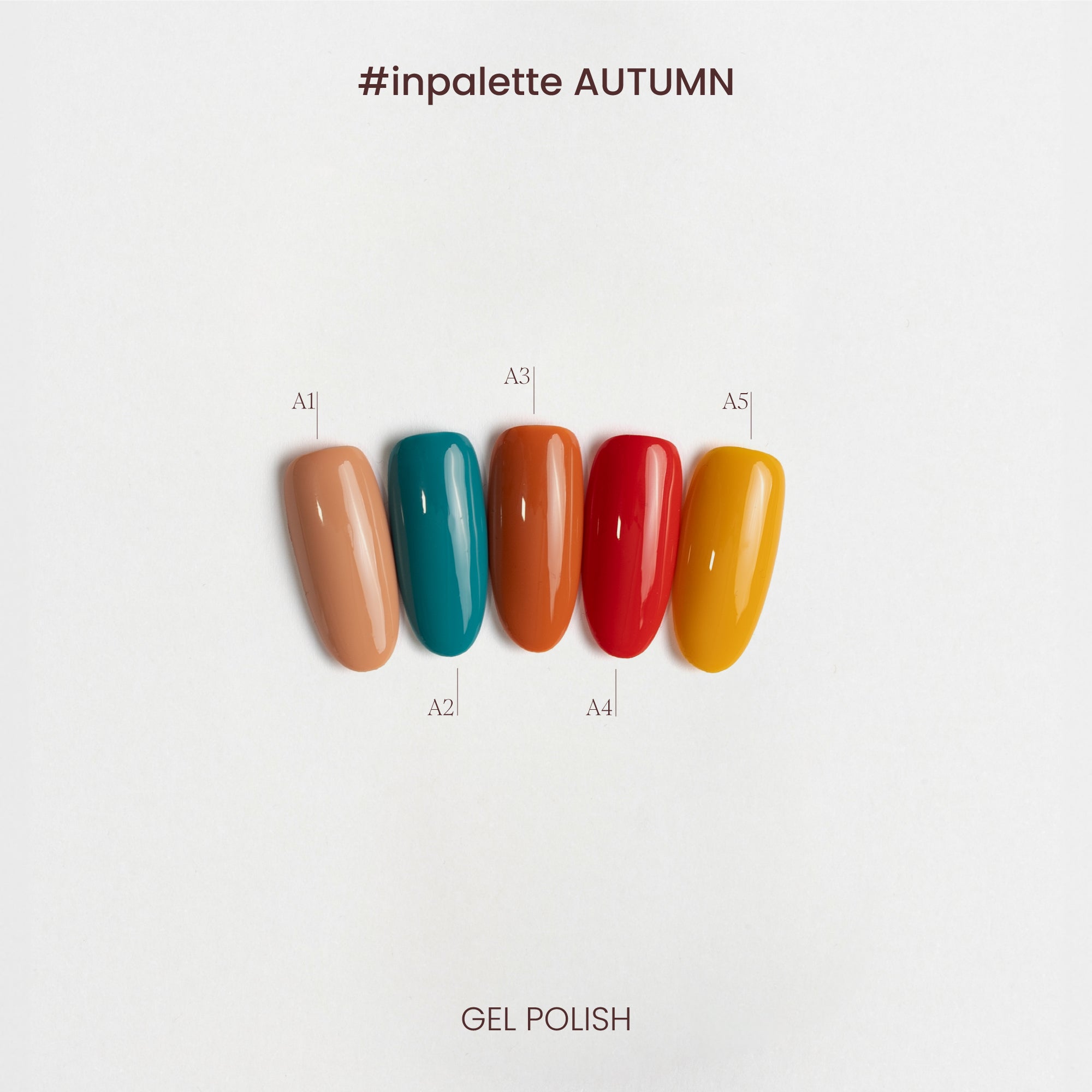 Collezione di colori semipermanenti Autumn - A1-A5 - dettaglio colori