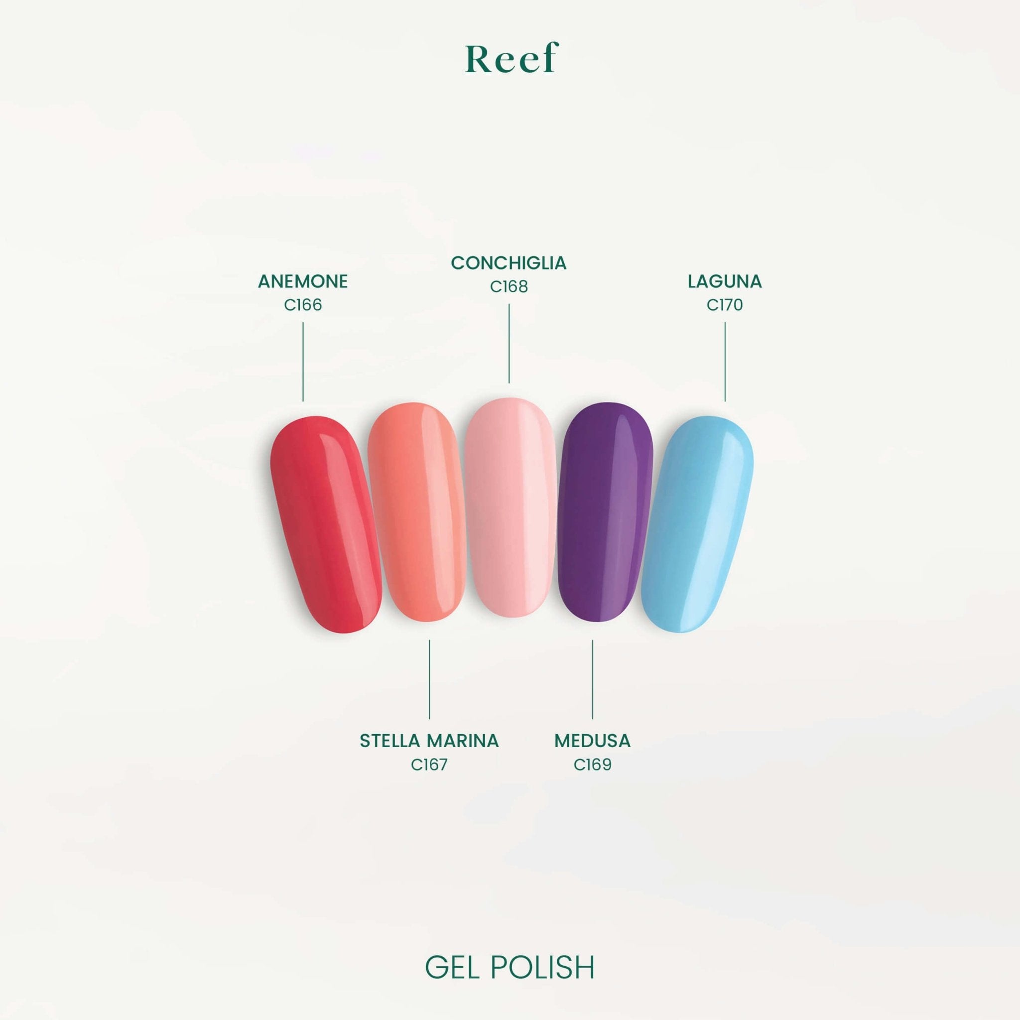 Collezione Reef