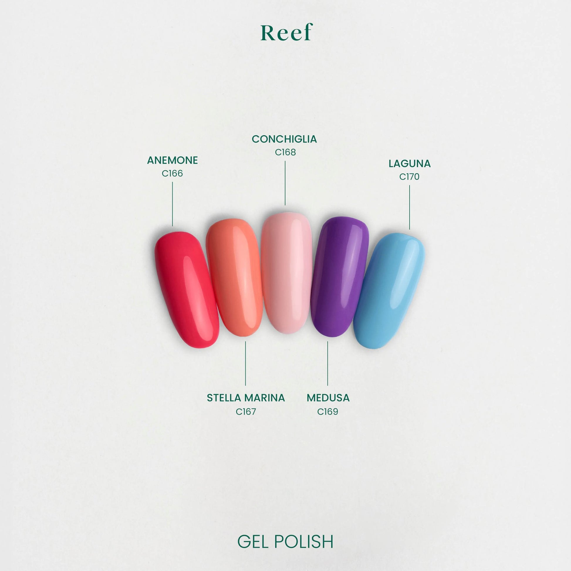 Collezione Reef: confronto tips dei 5 colori ispirati alla barriera corallina.