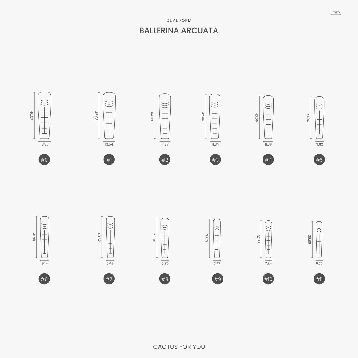 Arched Ballerina Dual Forms – 150 pcs