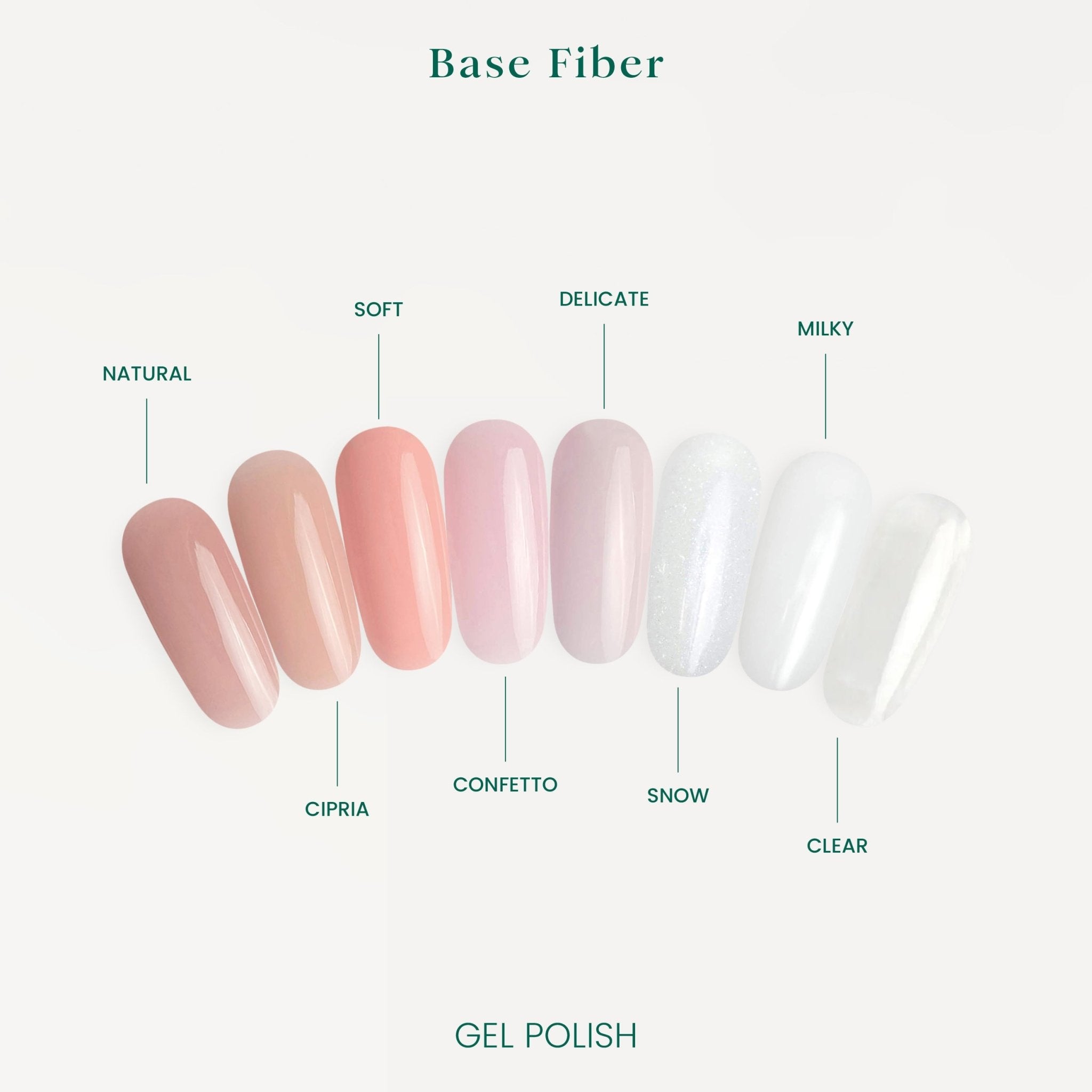 Fiber Base Confetto with Vitamins