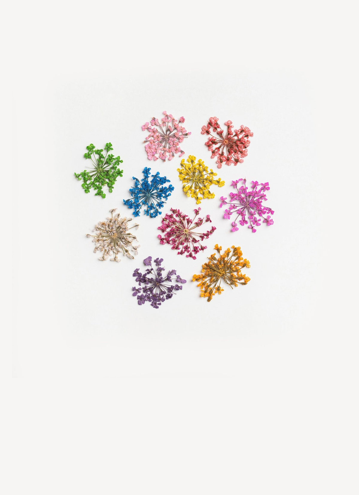 Fiori essiccati per Nail Art