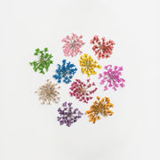 Dried Flowers for Nail Art