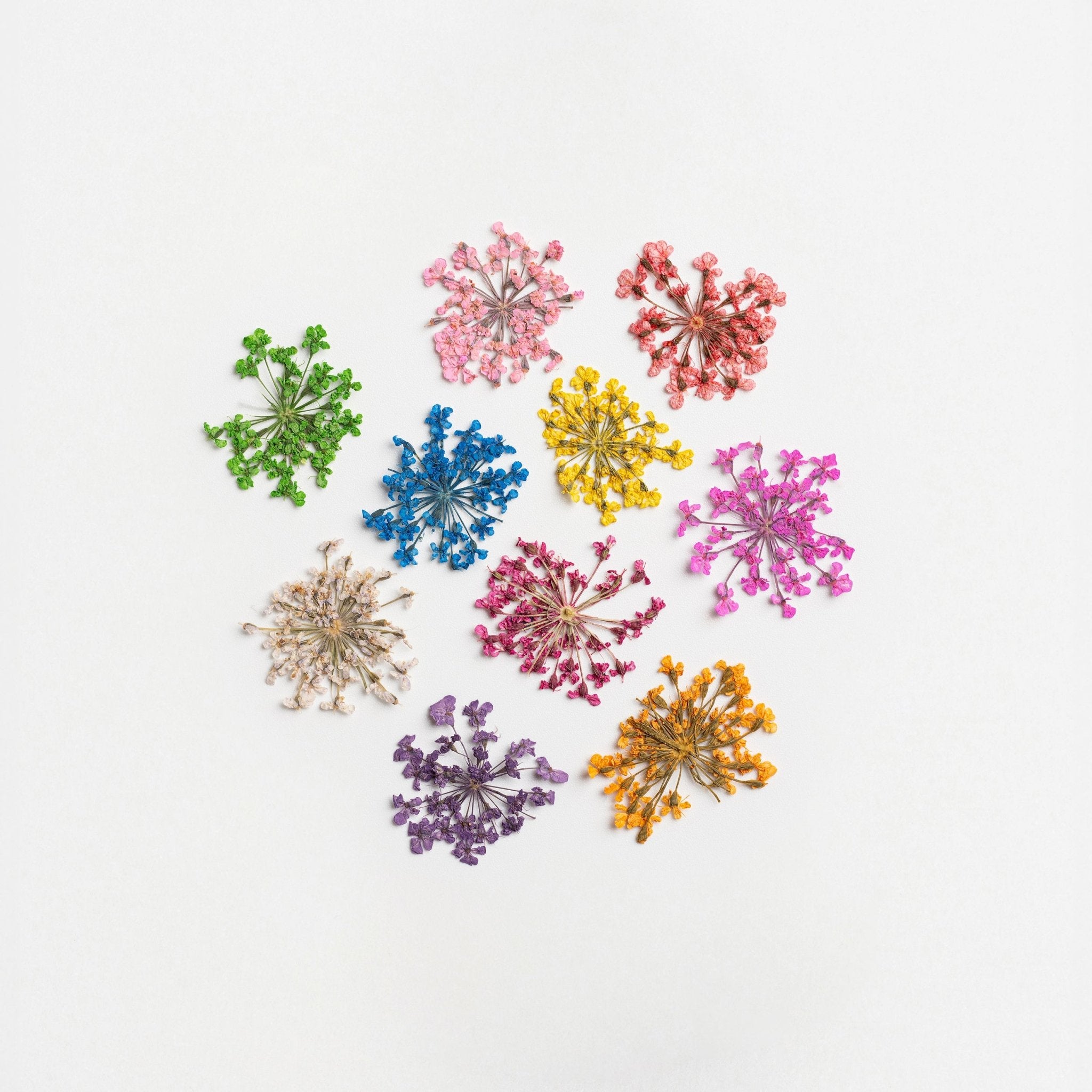 Dried Flowers for Nail Art