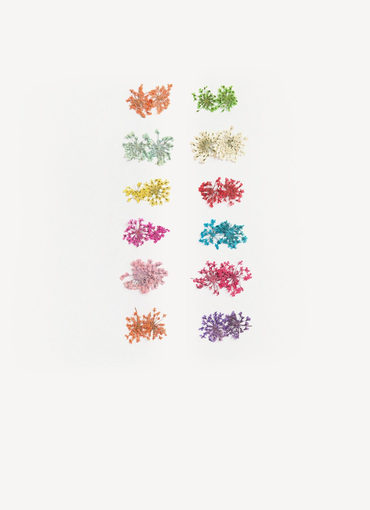 Dried flowers - 12 pack