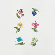 Fiori secchi - 6 pack