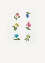 Dried flowers - 6 pack