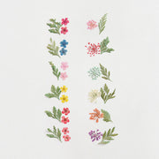 Fiori secchi con foglie - 12 pack