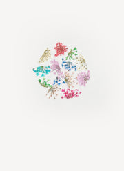Lovely dried flowers - unit