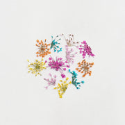 Fiori secchi Soft - unità