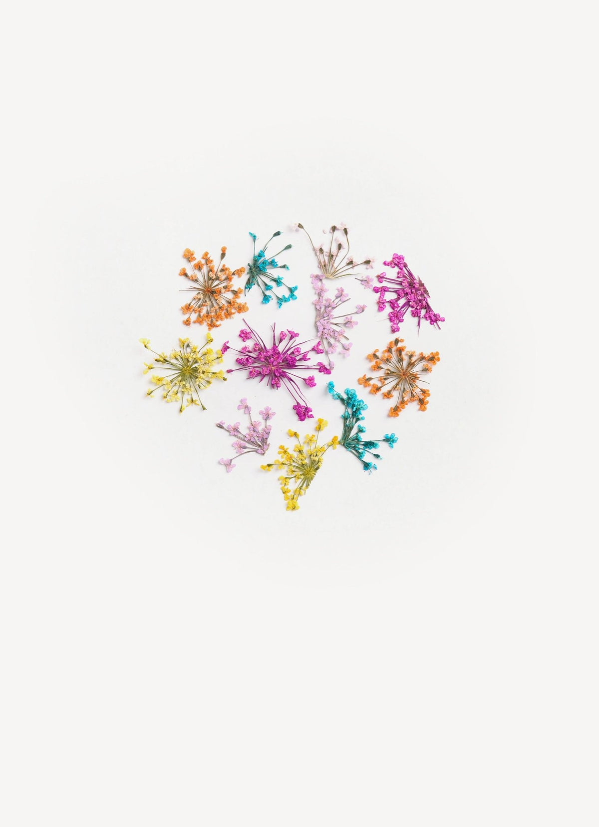 Soft dried flowers - unit