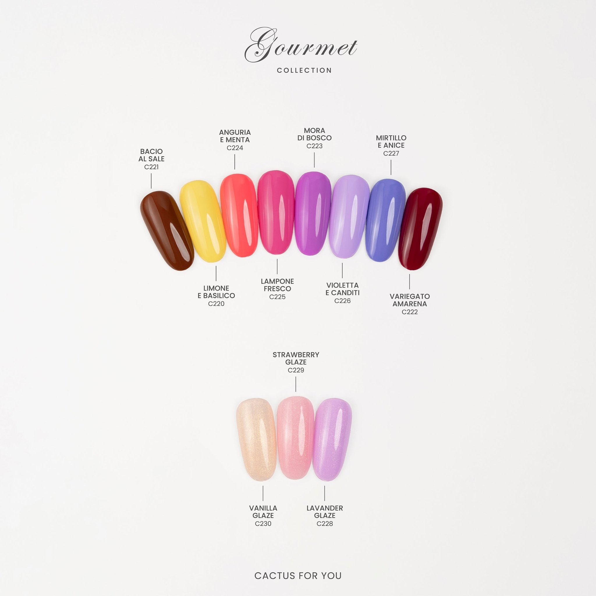Gourmet Collection
