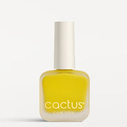 Nail Polish for Stamping K04