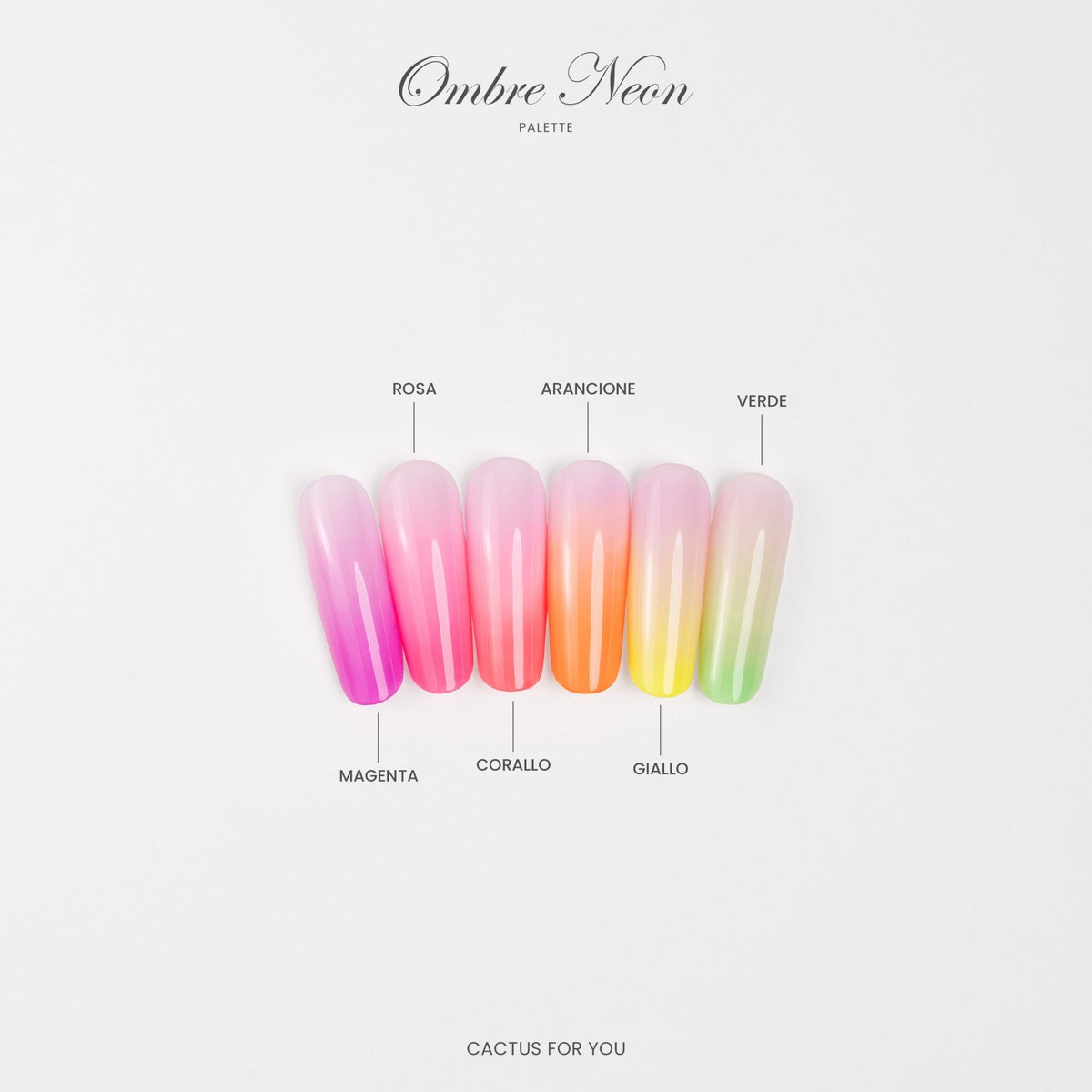 Ombre Neon Palette