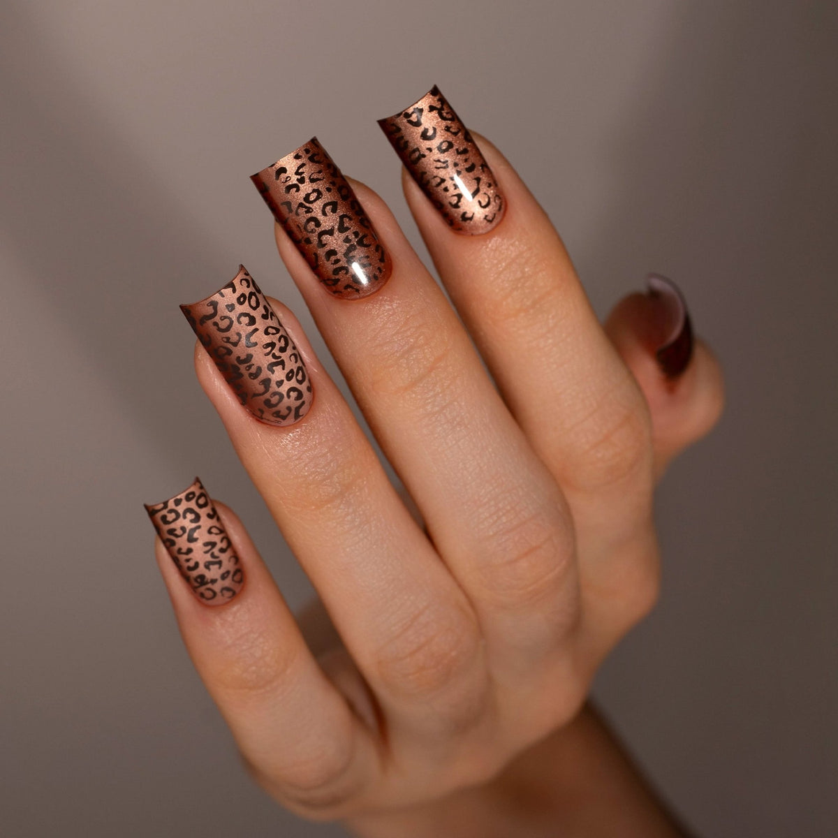 Animals & Food Stainless Steel Nail Stamping Plate