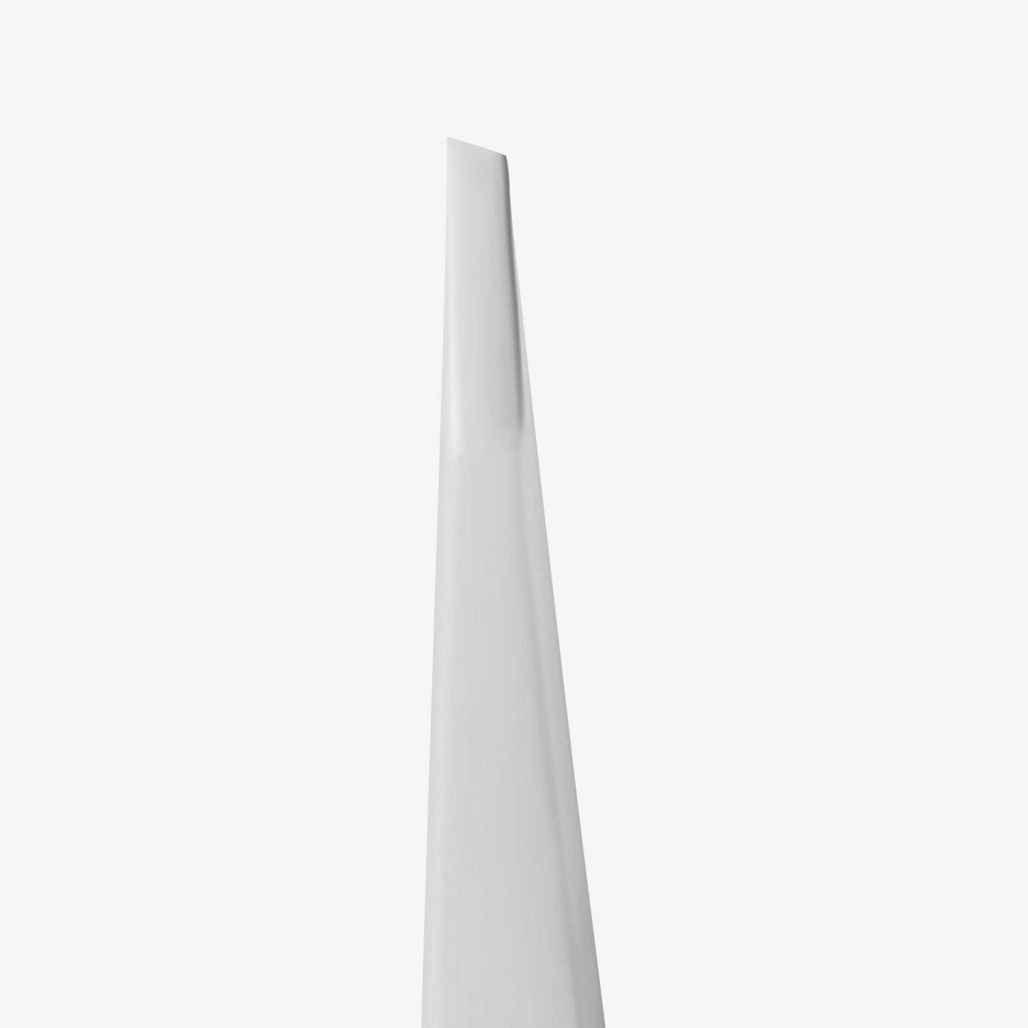 Staleks Expert 10 Type 4 Professional Tweezers