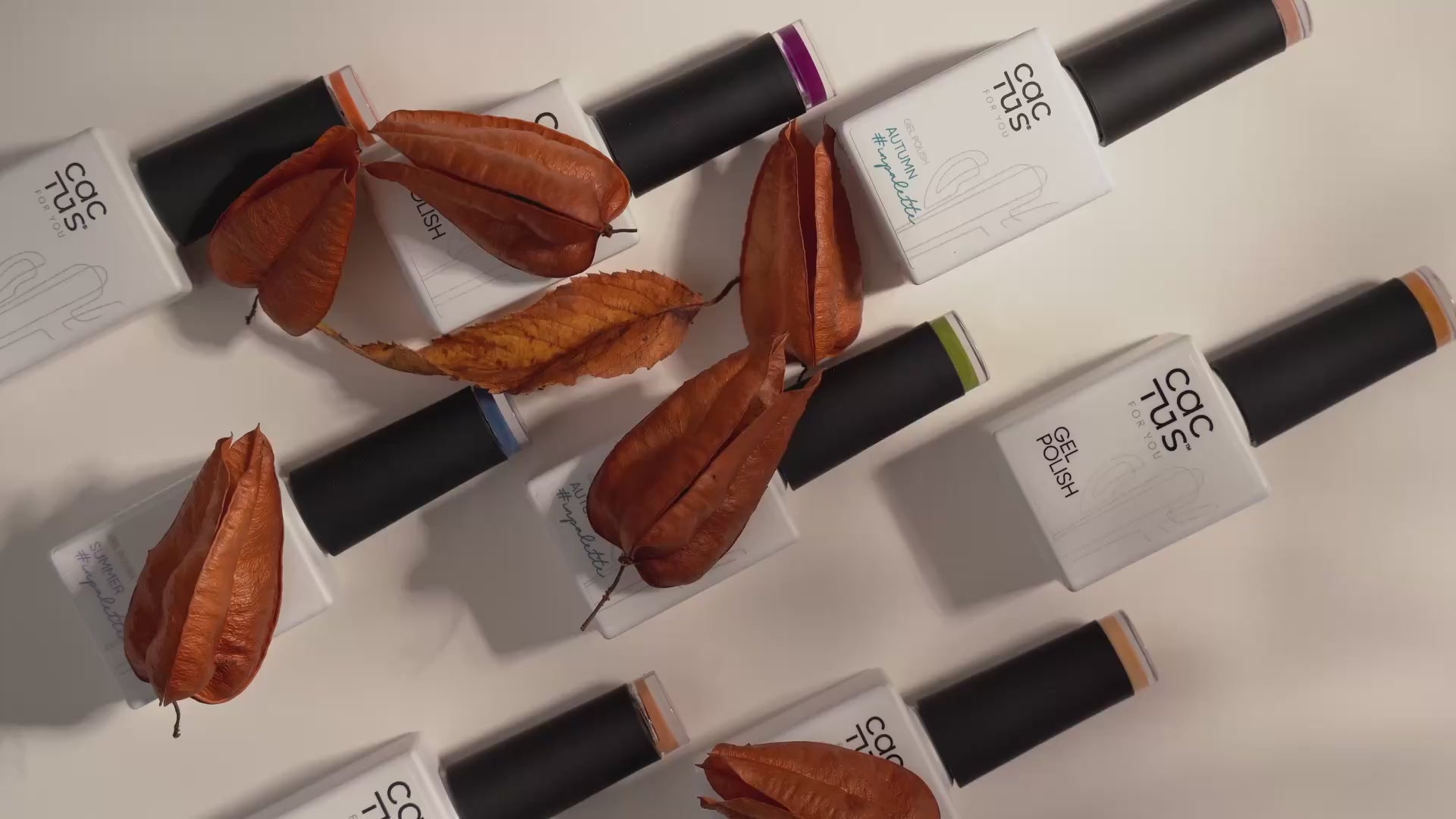 Carica video: 
