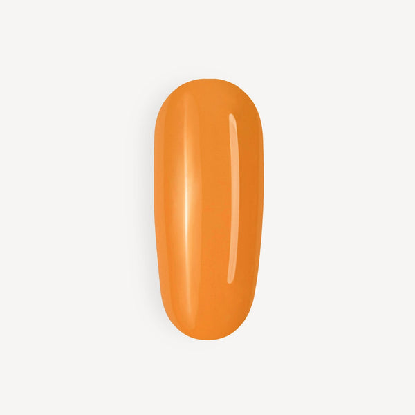 GEL POLISH C198