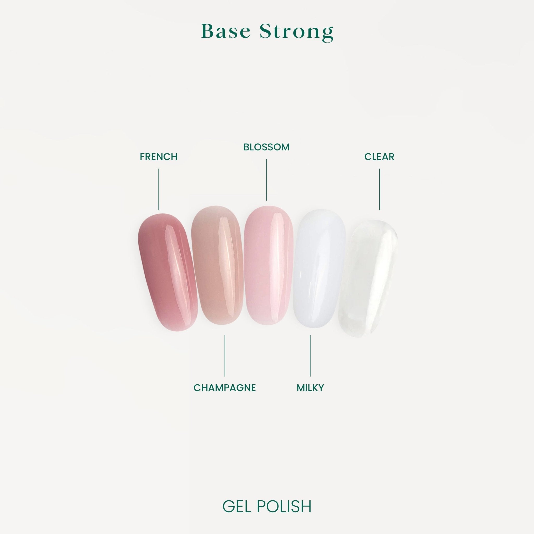 Strong Base Blossom